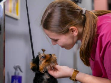 We Love Every Pet